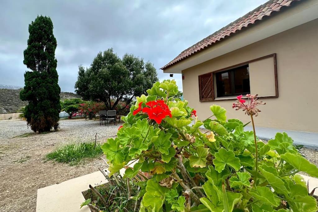 Peaceful Oasis With Magical Sea Views And A Pool Villa Santa Cruz de Tenerife Kültér fotó